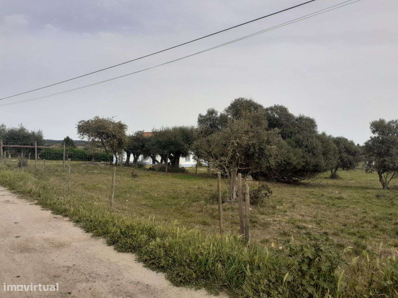 Terreno em São Miguel de Machede - Évora-5