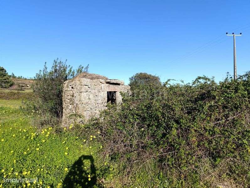 Terreno / Fundão, Catrão - Grande imagem: 2/13