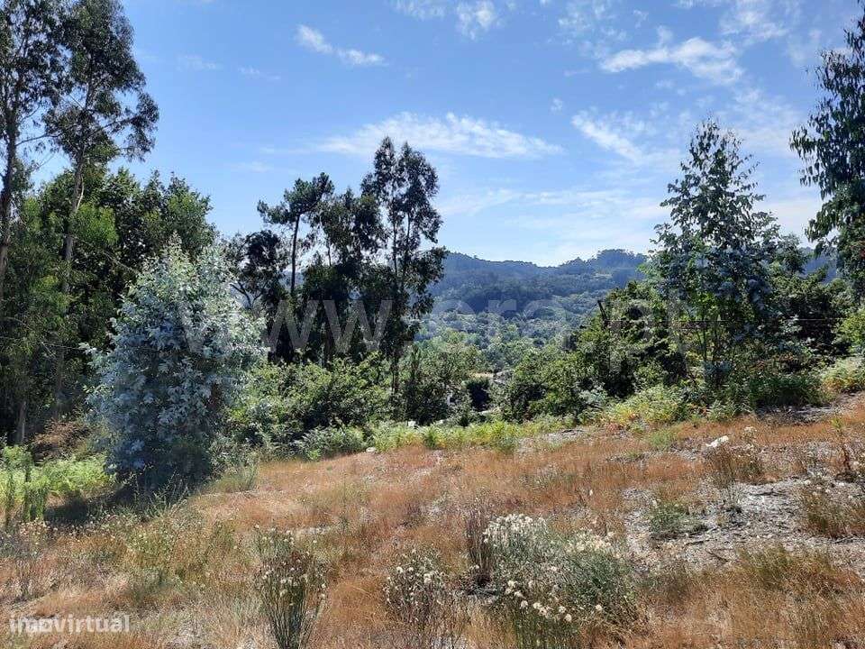 Terreno de construção com 1.800 m2 em Travassós - Grande imagem: 2/6