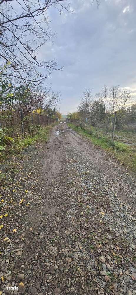 Proprietar vând teren intravilan in sat Poiana lângă Ovidiu - Imagine principală: 4/9