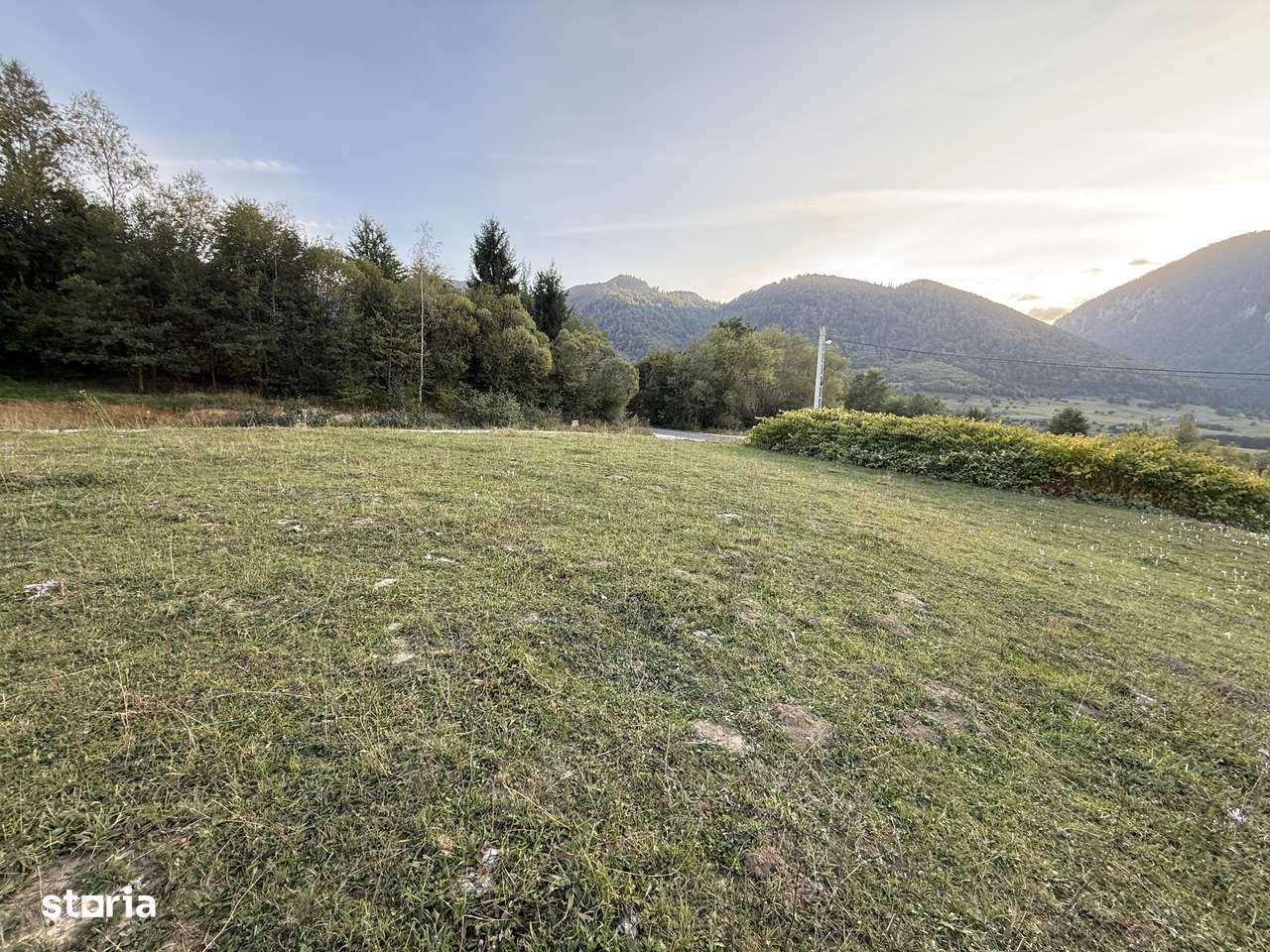 Teren intravilan 500 sau 1000 mp Bran-Tohanita la dum asfaltat-5