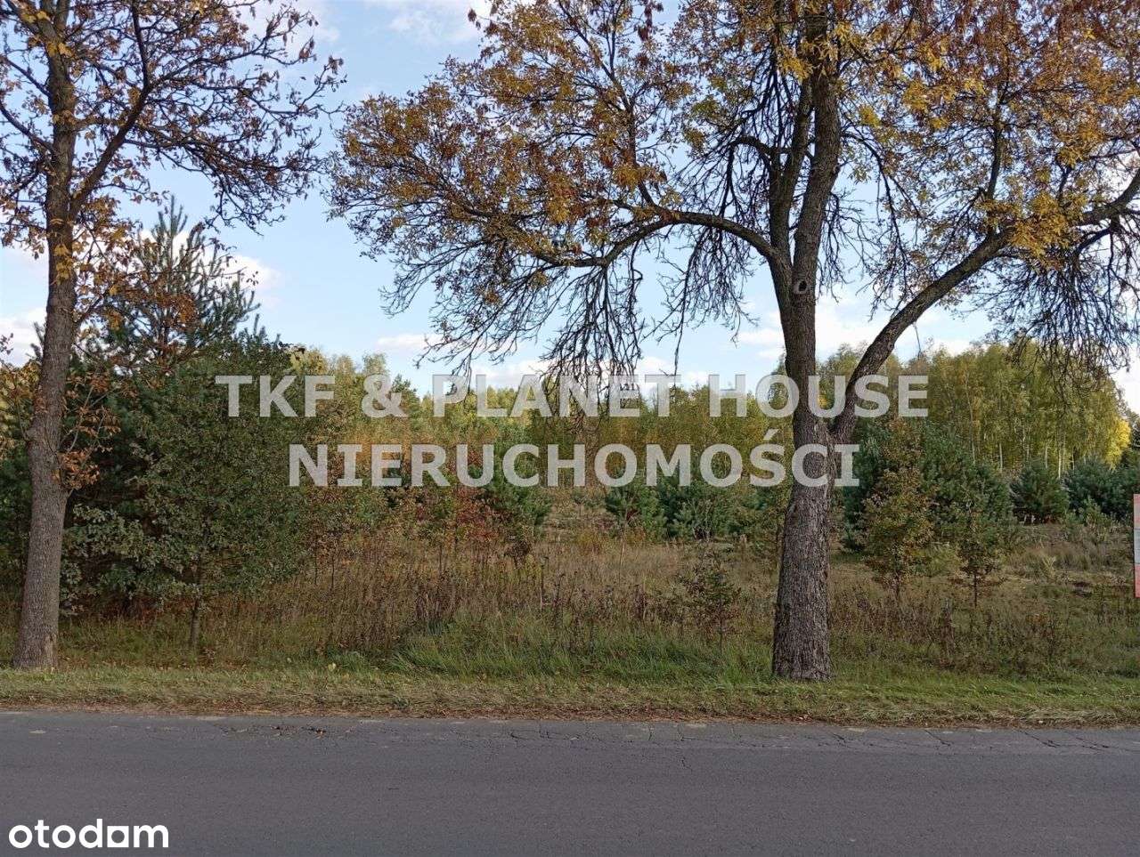 Działka 6000m2, świetna na inwestycje,Nowe Chrusty - Pełny obrazek: 4/10