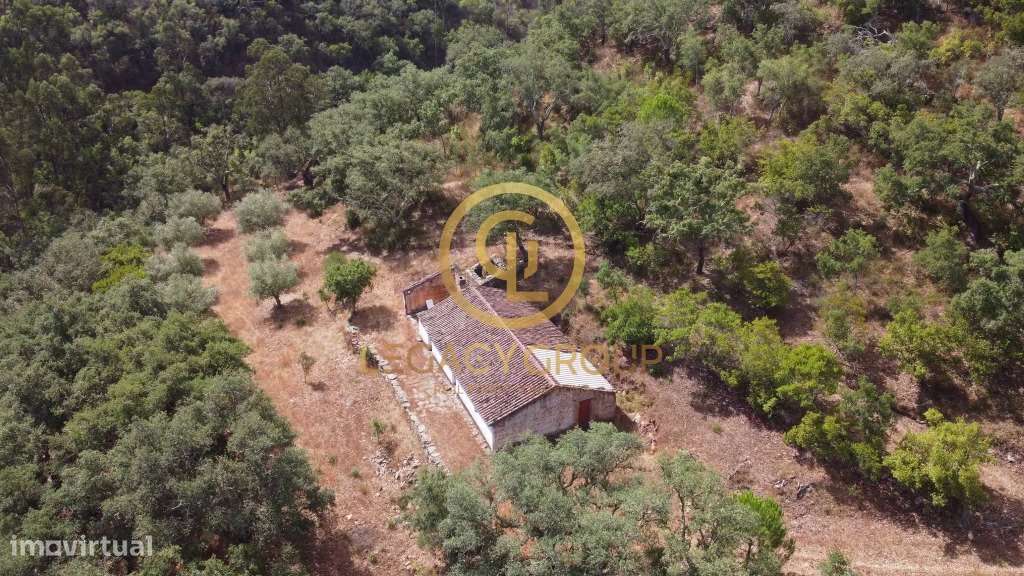 Quinta de 6 hectares perto de São Martinho das Amoreiras-30