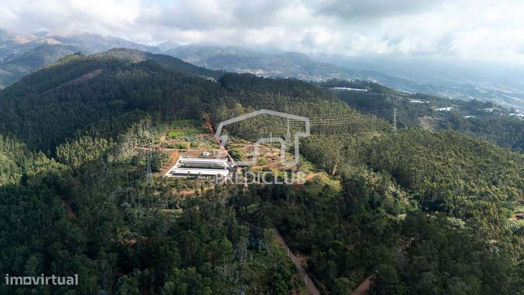 Terreno 17.542 m2 - Câmara de Lobos - Grande imagem: 5/14