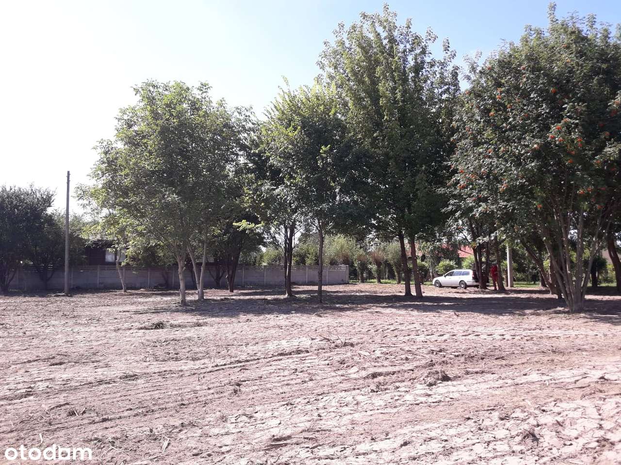 Sprzedam nieruchomość gruntową - Pełny obrazek: 5/5