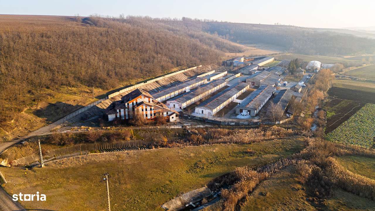 Fosta Ferma a Partidului de la Horgesti - de vanzare-17