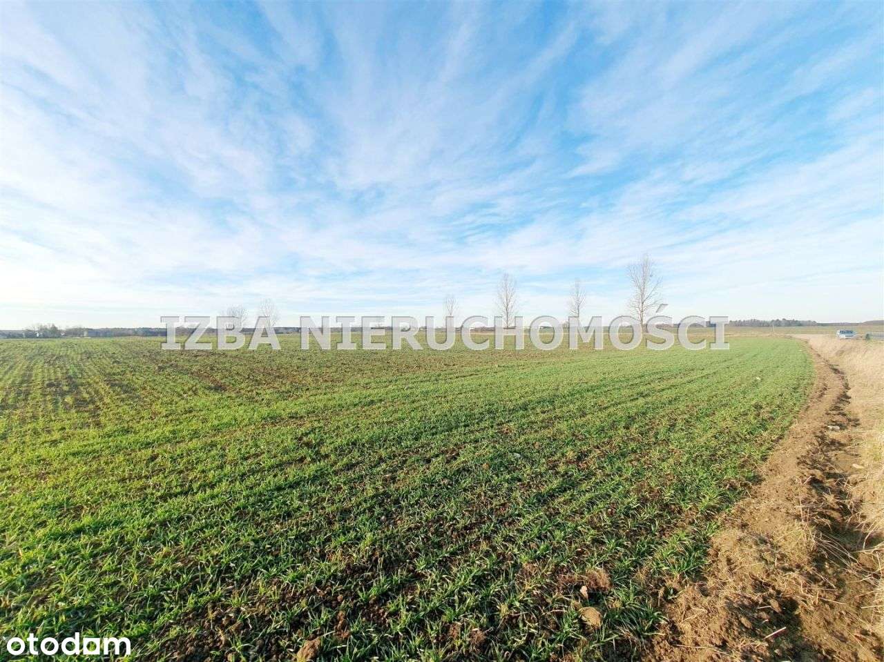 Działka, 3 000 m², Wiśniowo Ełckie-3