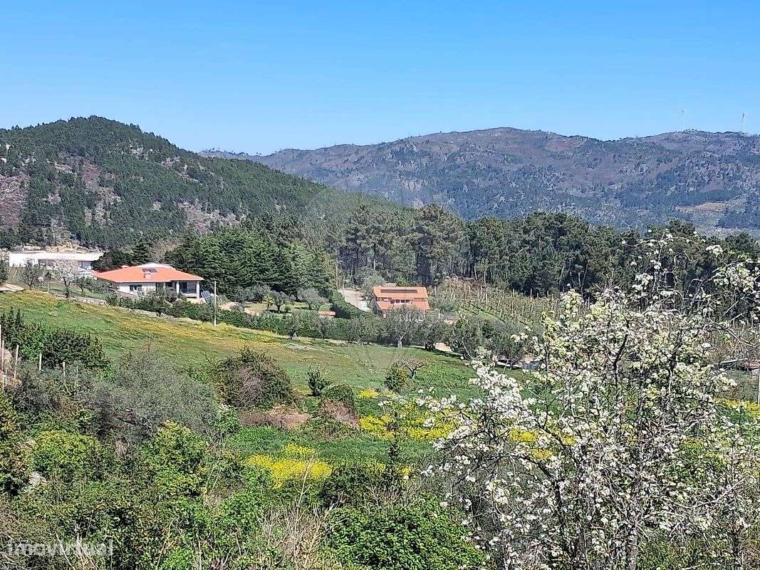 Quinta T3 para venda-15