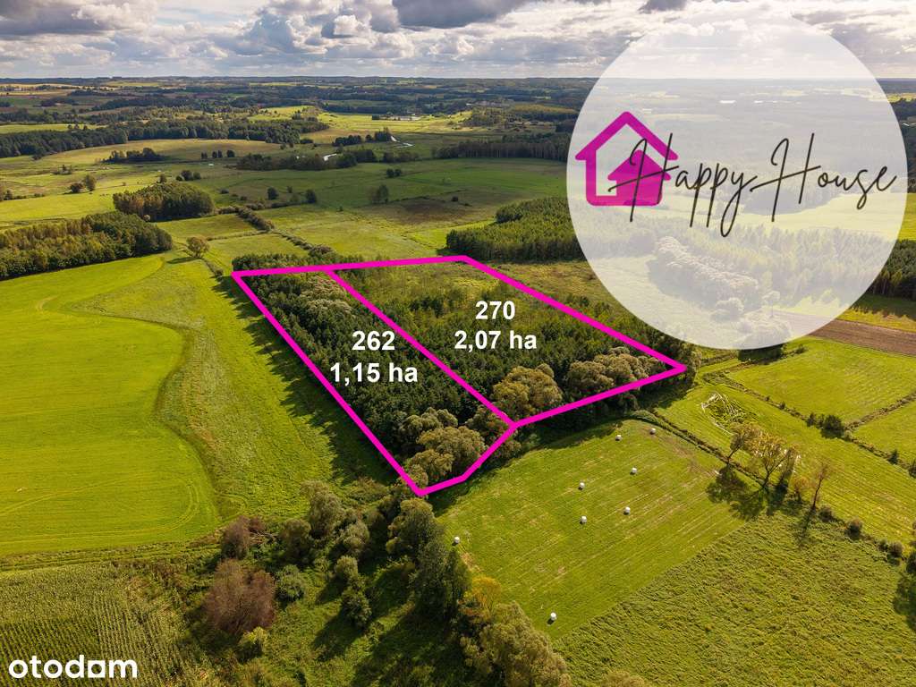Urokliwe siedlisko, 10,300 ha ziemi, lasy, dom - Pełny obrazek: 4/15