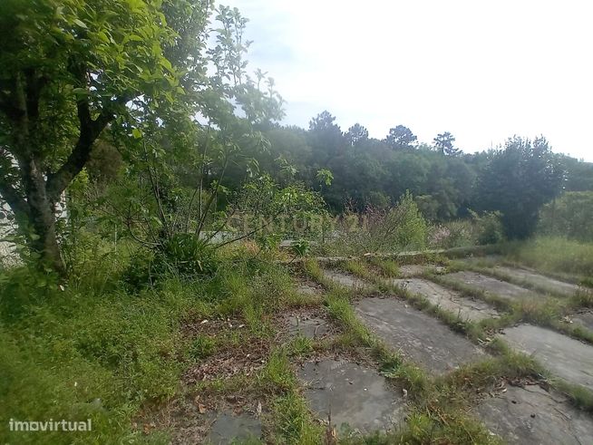Propriedade junto ao Freixo-6