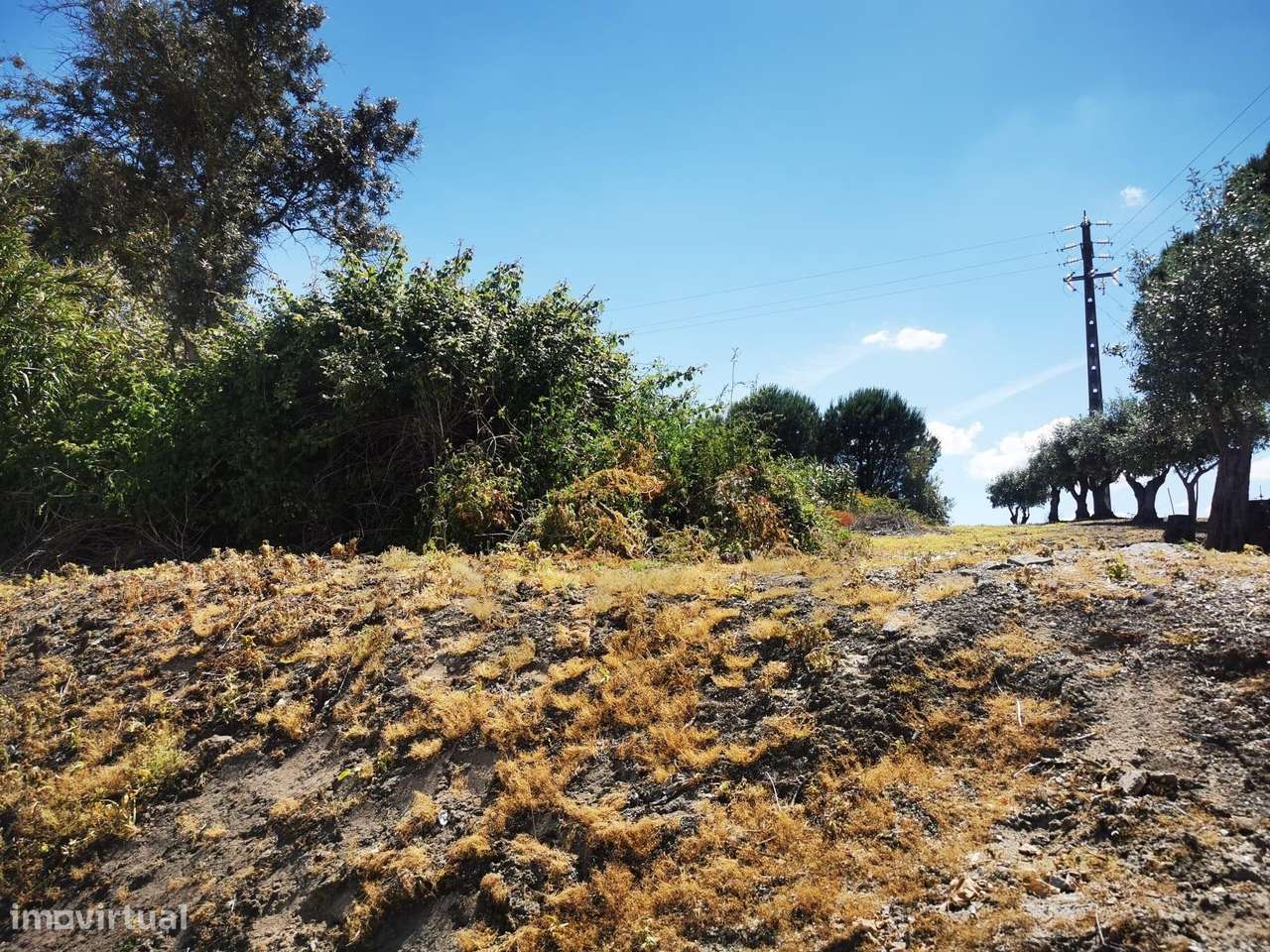 Terreno em Casal das Pratas - Cartaxo (Construção de Urbanização) - Grande imagem: 4/10