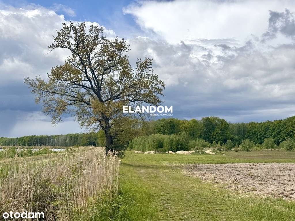 Działka, Grzegorzewice, oaza spokoju, pow. 3058m2 - Pełny obrazek: 4/7