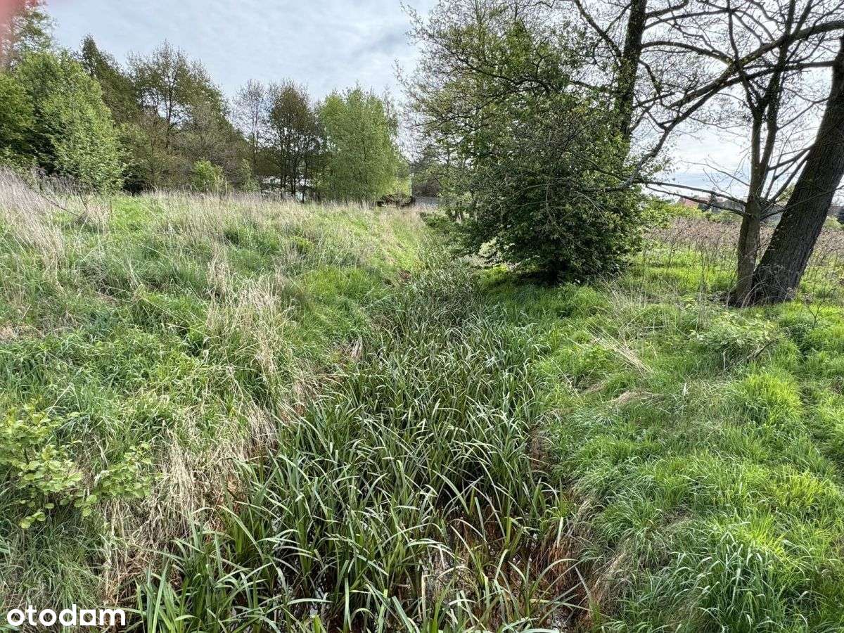 działka 8500m2 Długołęka-18