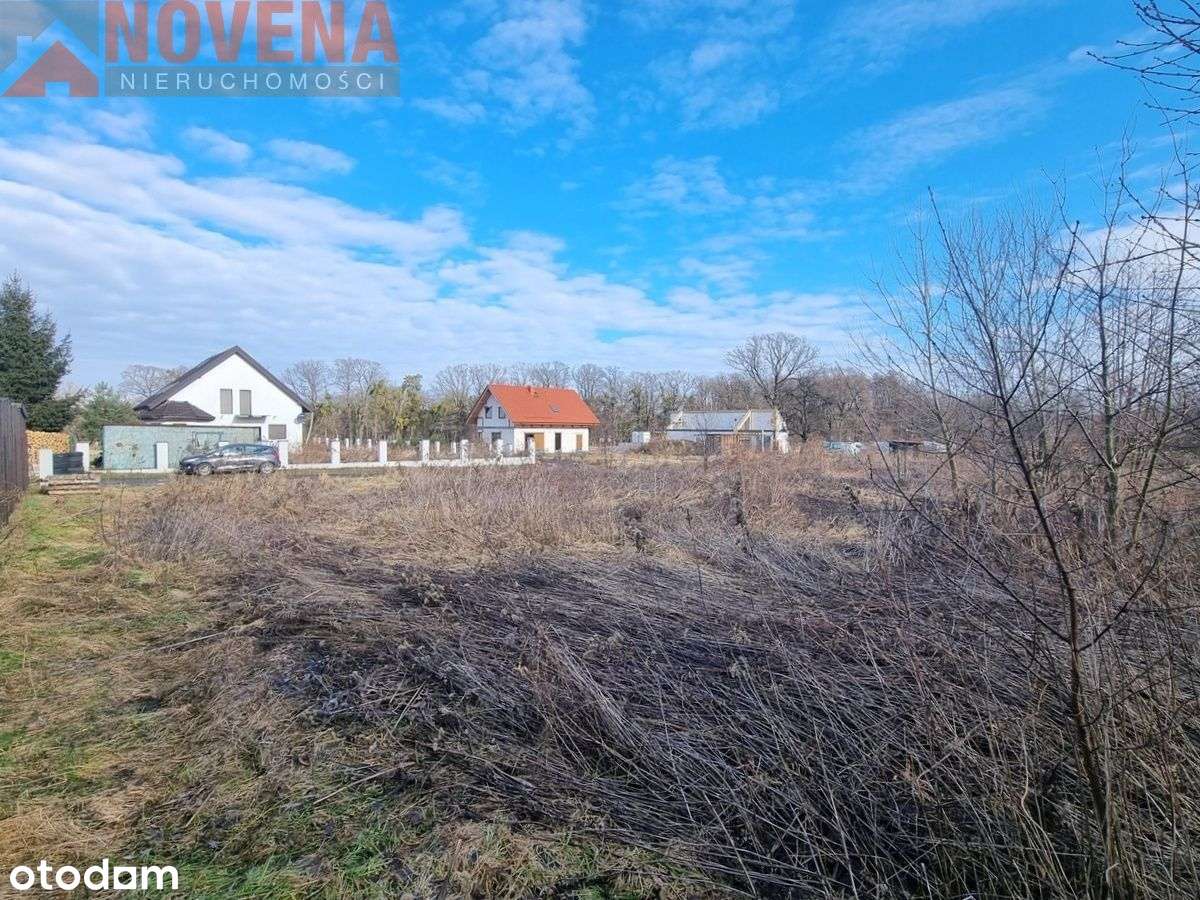 Wilkowa, działka budowlana. Wieś otoczona lasami.-4