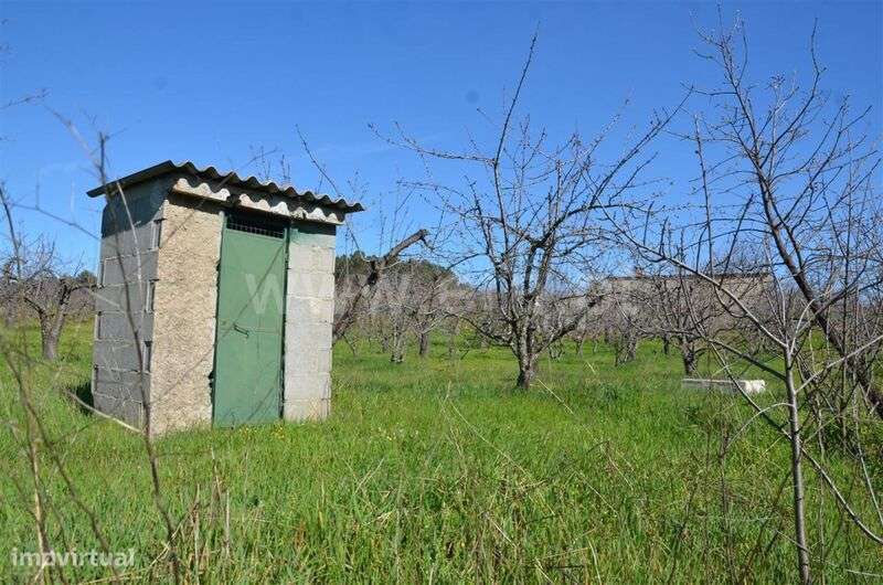 Quinta / Fundão, Aldeia de Joanes - Grande imagem: 5/20