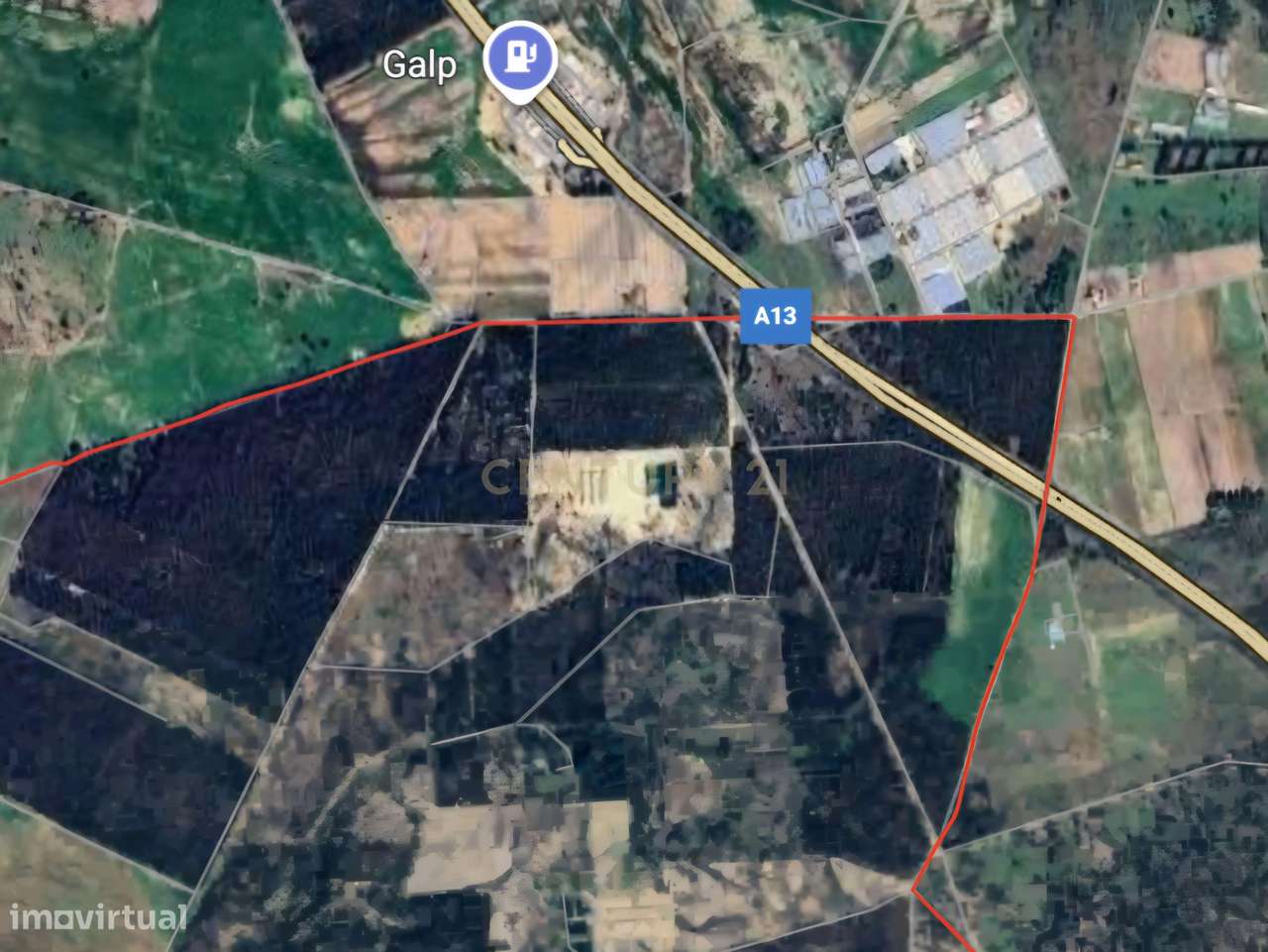 Terreno Rústico | 2 Hectares (20 000m2) | Santo Isidro de Pegões | Pot - Grande imagem: 4/8