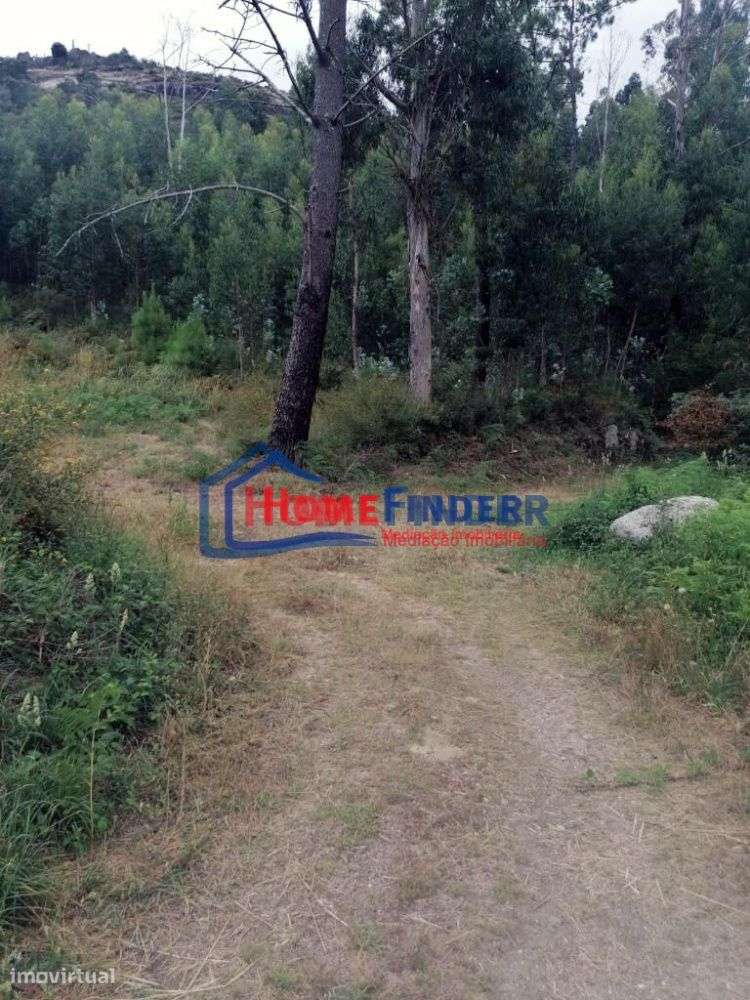 Terreno com aprox. 1.250 m2 - Monção - Grande imagem: 5/26