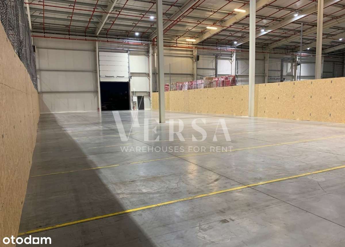 Magazyn 1140 mkw - 0% Prowizji - Pełny obrazek: 5/12