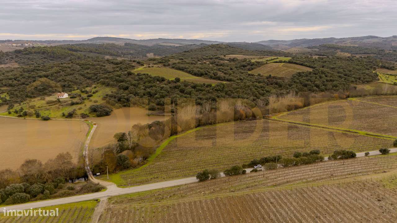 Quinta do Arieiro - Cedovim | Vila Nova de Foz Côa | Douro Superior-46