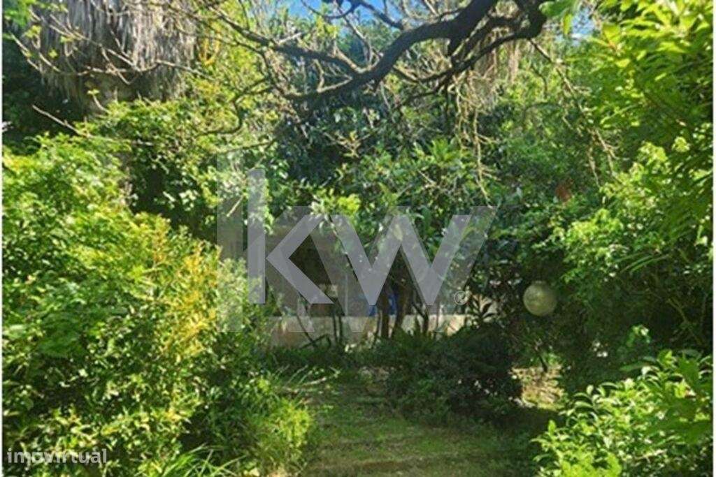 Terreno Urbano em Carcavelos para Venda - Grande imagem: 5/10