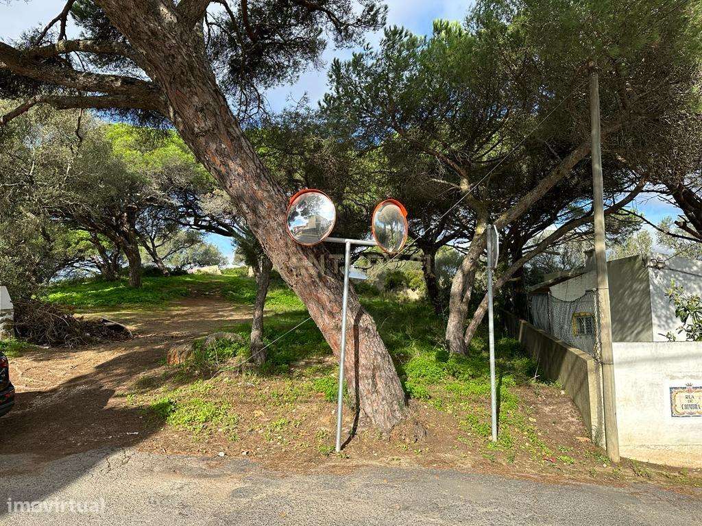 Terreno Bicesse - Grande imagem: 4/10