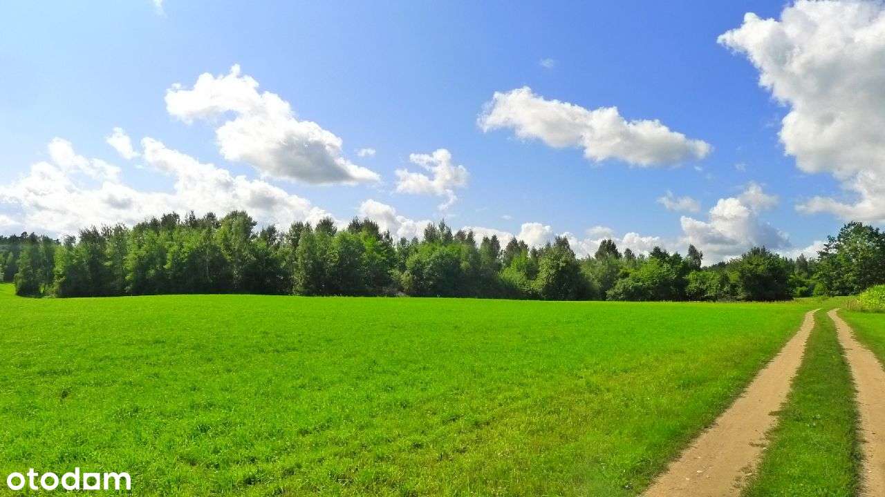 Hańcza - działka leśna 3360 m2