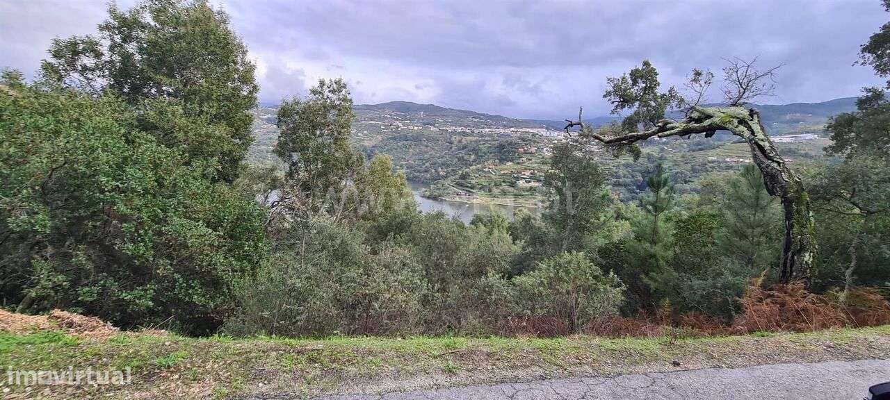 Quinta / Baião, Rio Douro - Grande imagem: 5/6