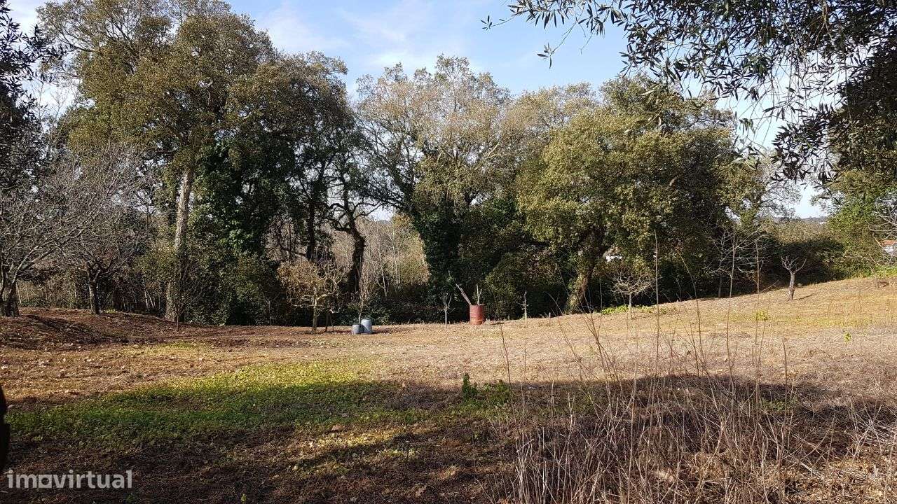 Quinta na Bairrada-11