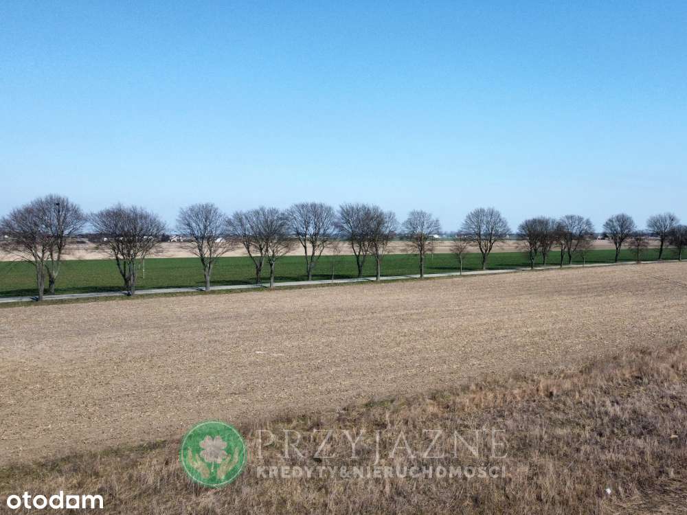 Działki budowlane Czerlejno -> BLIKSKO KOSTRZYNA - Pełny obrazek: 5/9