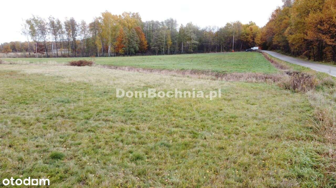 38ar budowlana przy drodze Borek Rzezawa-17