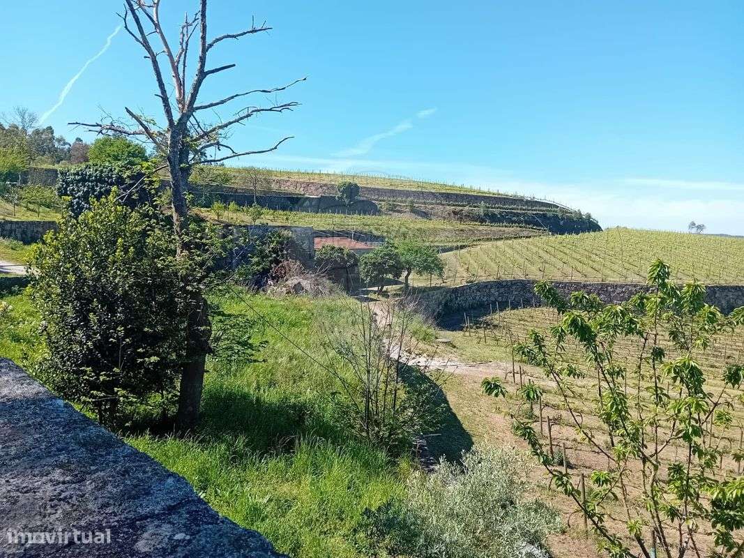 Quinta T7 para venda-9