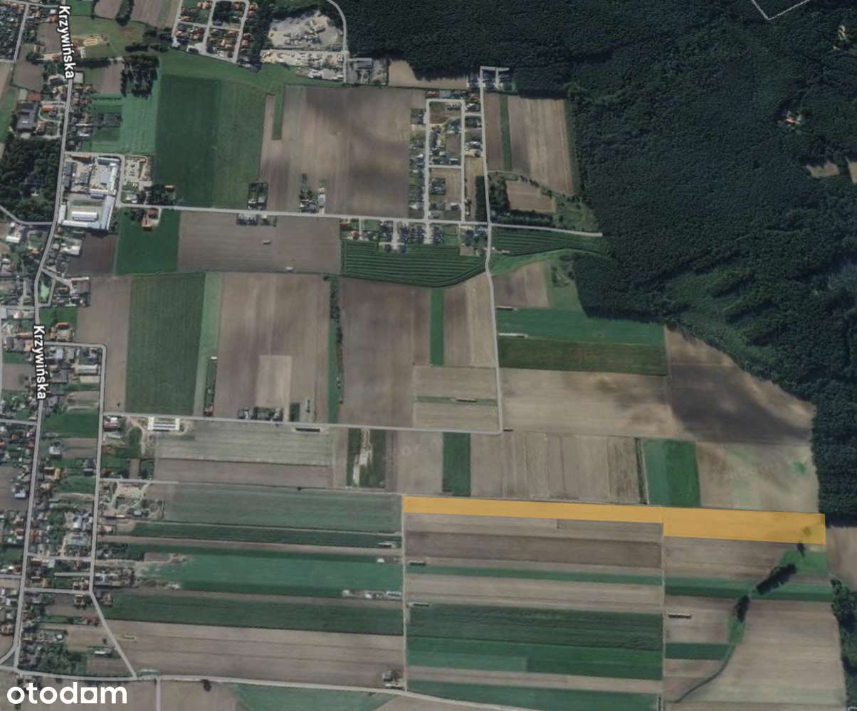 Działka w Kąkolewie - Pełny obrazek: 4/4