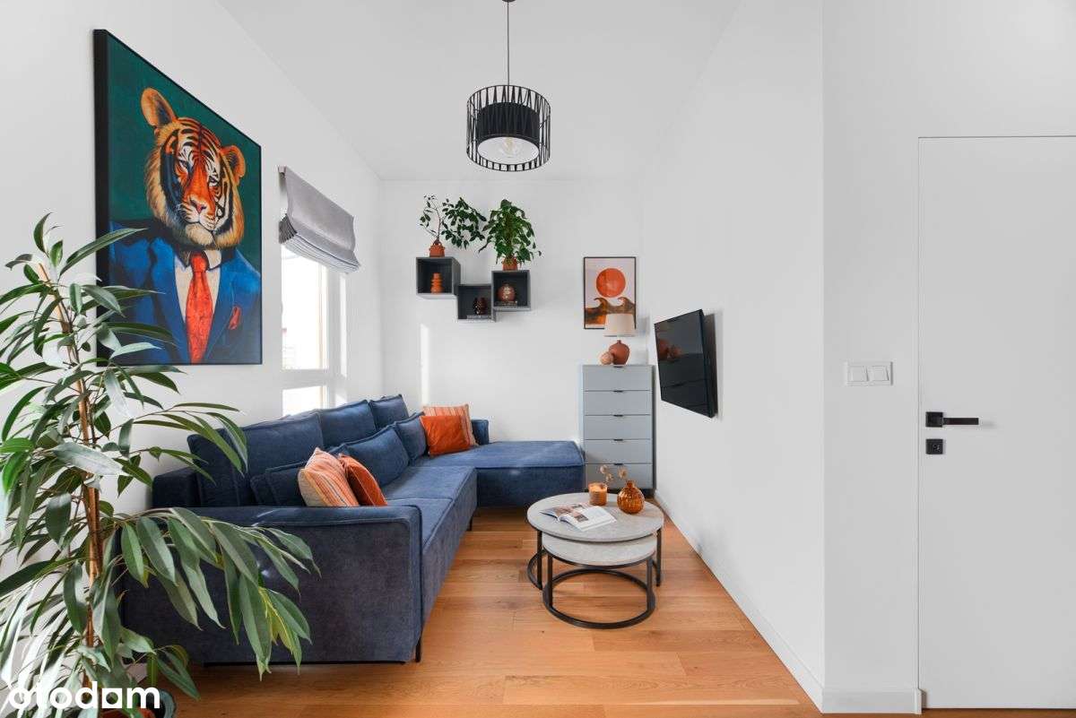 Top standard, ostatnie piętro, klima, wysokość 3 m - Pełny obrazek: 4/19