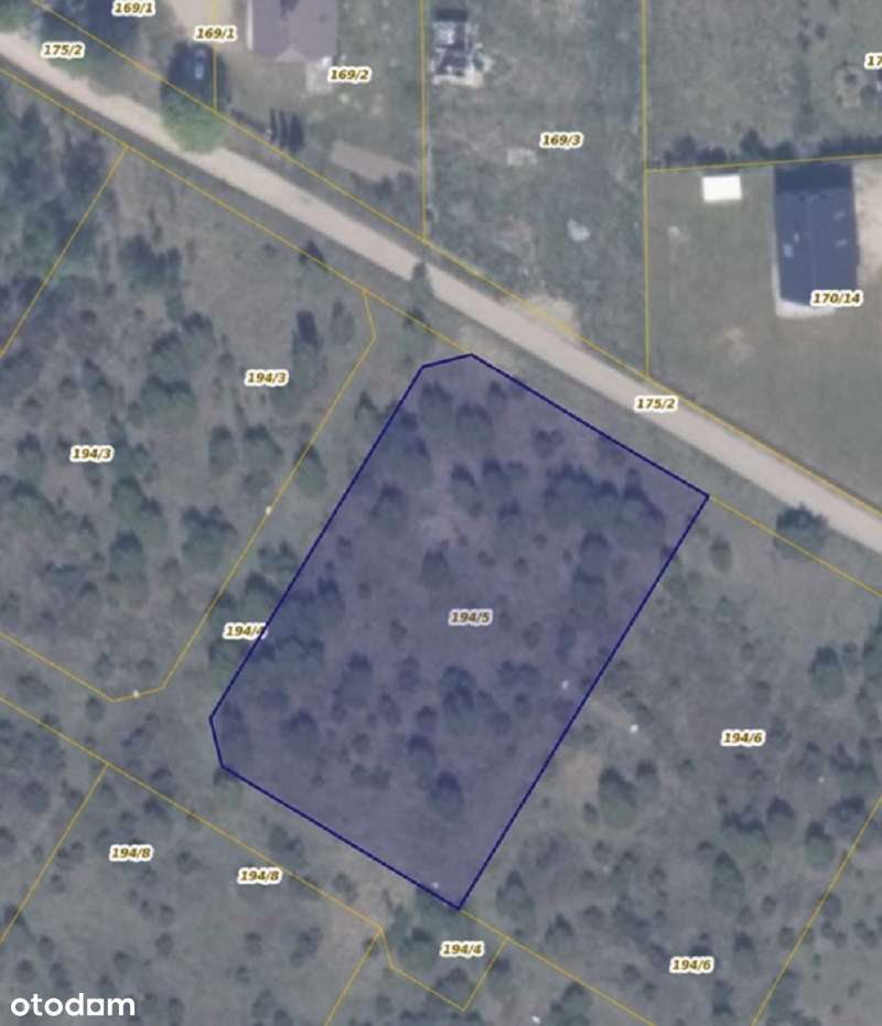 Działka 194/5 w miejscowości Ełganowo-1