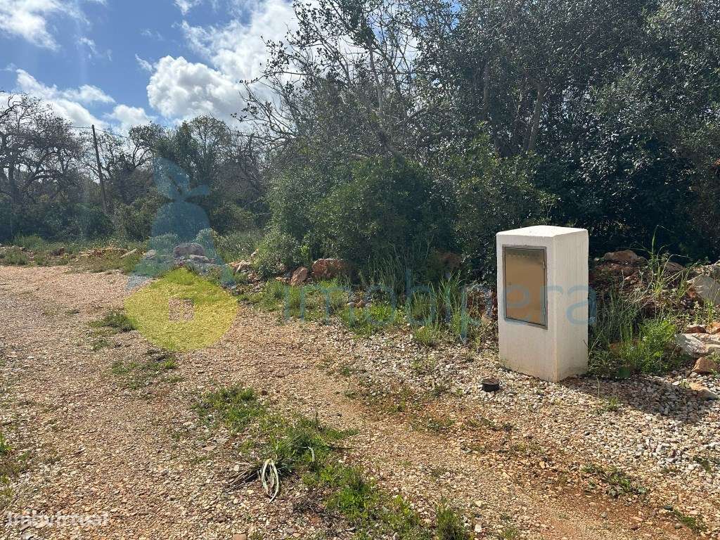 Terreno Plano com 12.0400m2 com Ruína á venda no Barrocal - Grande imagem: 5/7