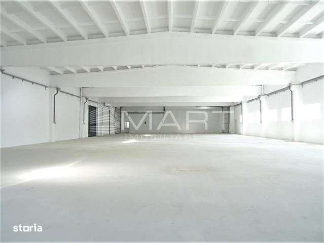 Hala industriala acces TIR, 1000mp Cisnadie - Imagine principală: 4/8