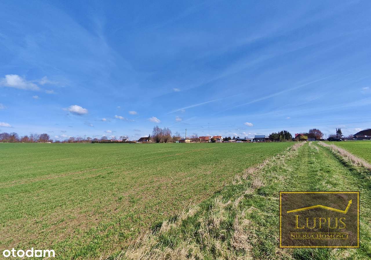 Działka na sprzedaż w Słodkowie - Pełny obrazek: 4/13