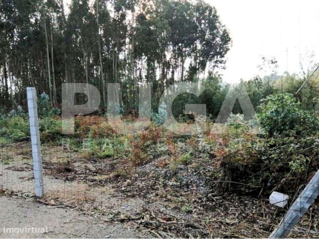 Terreno versátil em zona tranquila com grande potencial - Grande imagem: 3/4