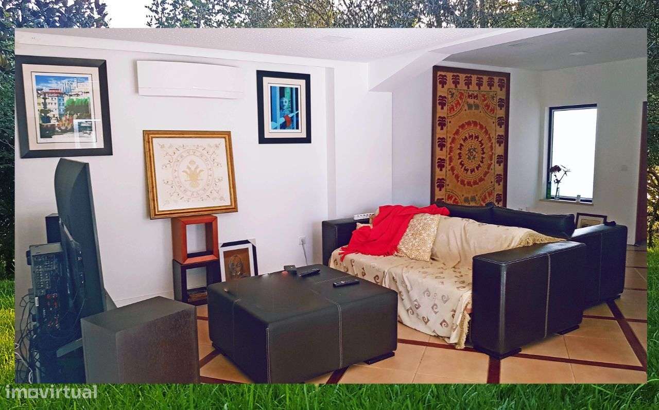 Quintinha com Mata secular-37