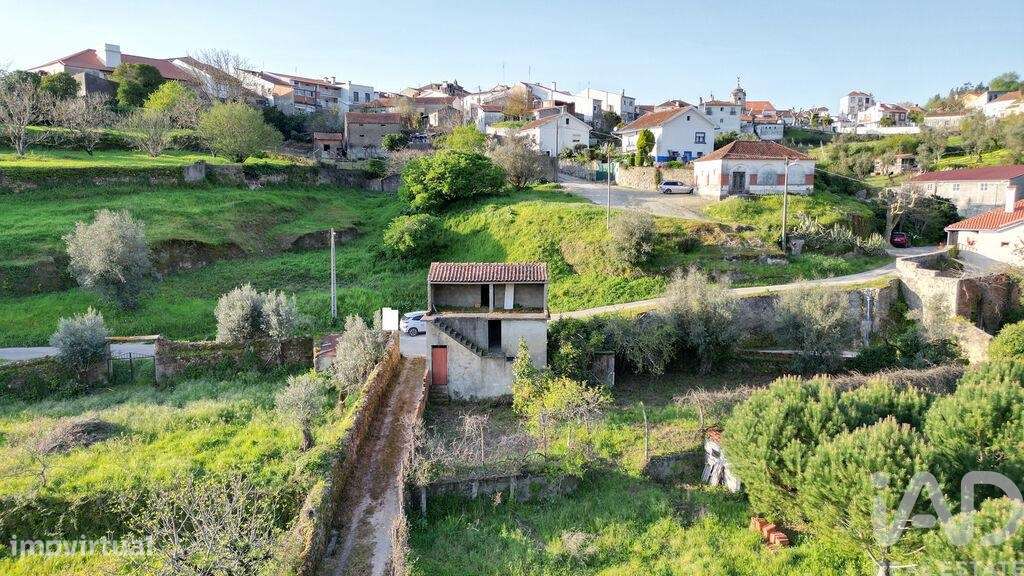 Terreno misto em São Miguel, Santa Eufémia e Rabaçal - Grande imagem: 5/28
