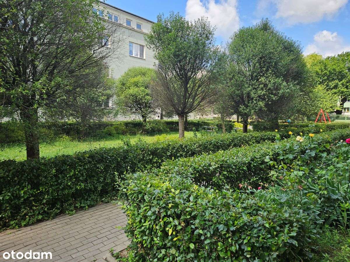 Duże, jasne mieszkanie trzypokojowe w samym centrum Błonia-0