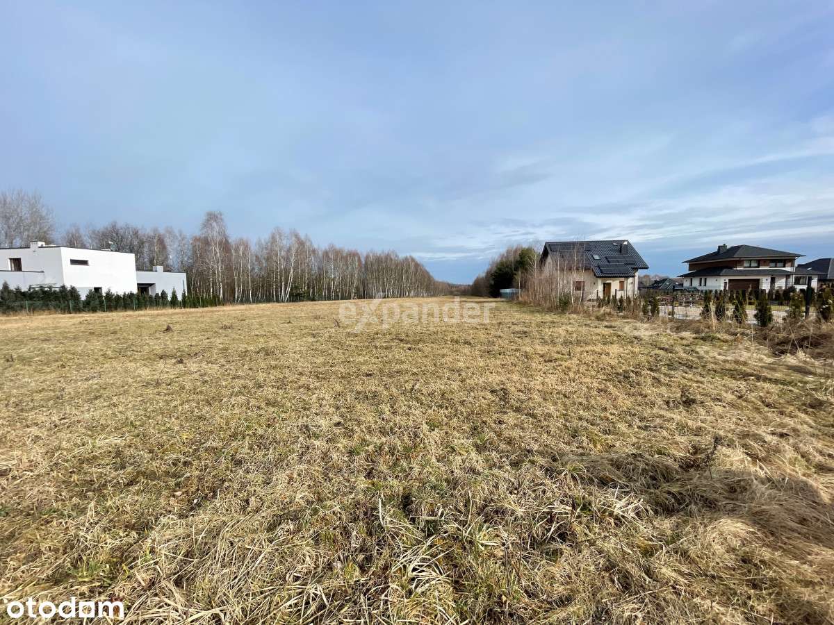 Działka/ Gruszewnia/ Spokojna okolica - Pełny obrazek: 4/4