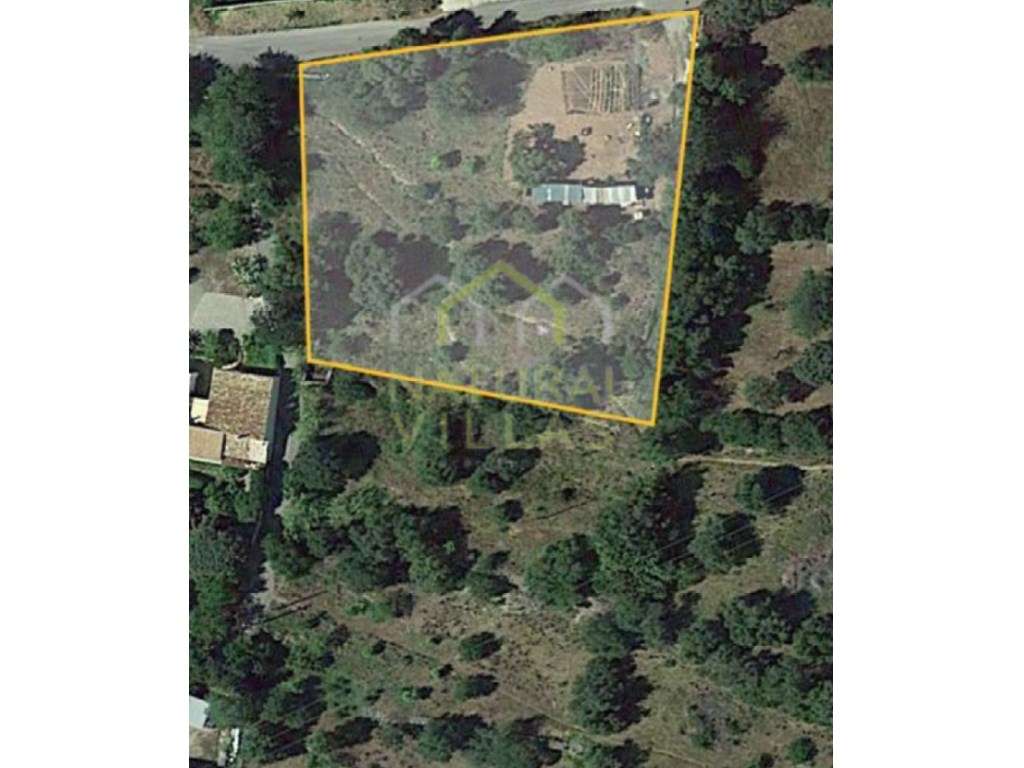 Terreno com potencial para Construção em São Brás de Alportel - Grande imagem: 4/4