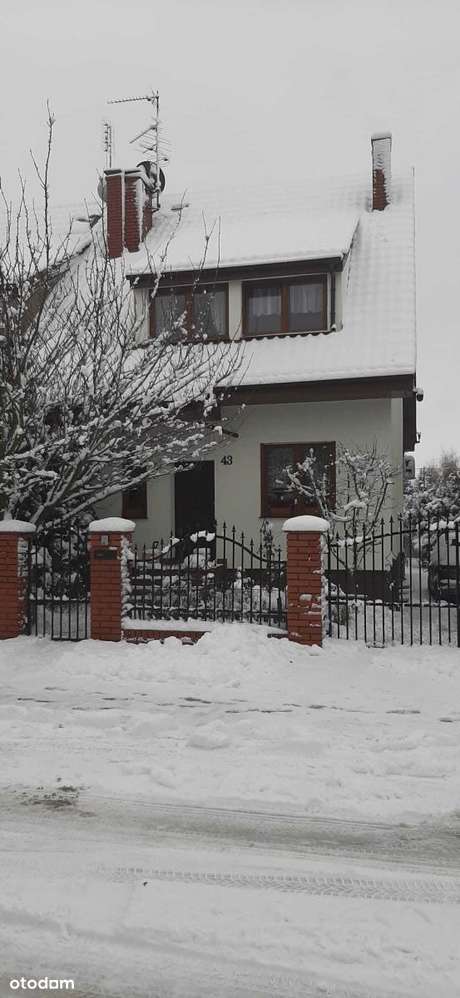 Bliźniak na sprzedaż-5