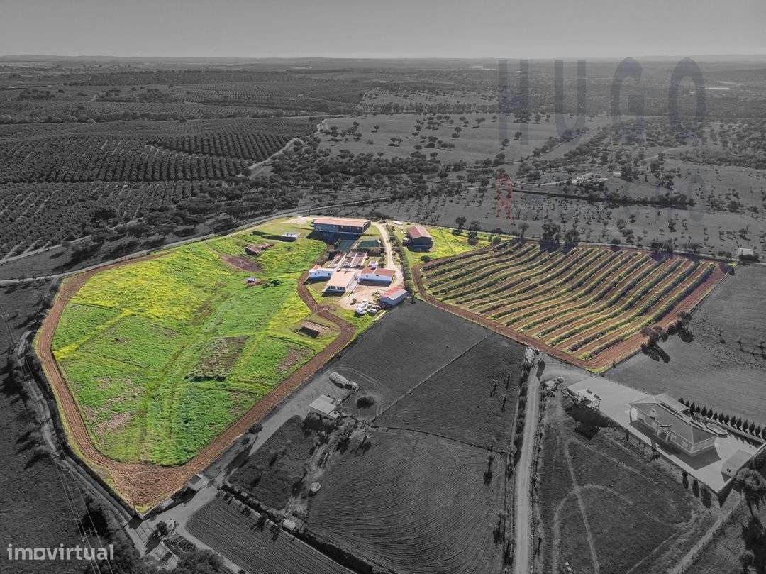 Vende-se Quinta/ Hotel canino, Nossa Senhora de Machede, Évora - Grande imagem: 4/43