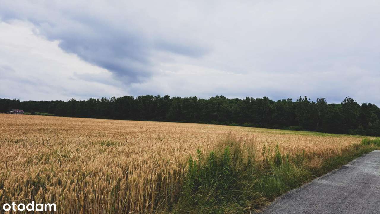 Orzesze Gardawice 1106 m2-5