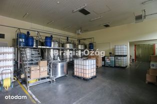 Do sprzedania Hala produkcyjno magazynowa - Pełny obrazek: 2/7