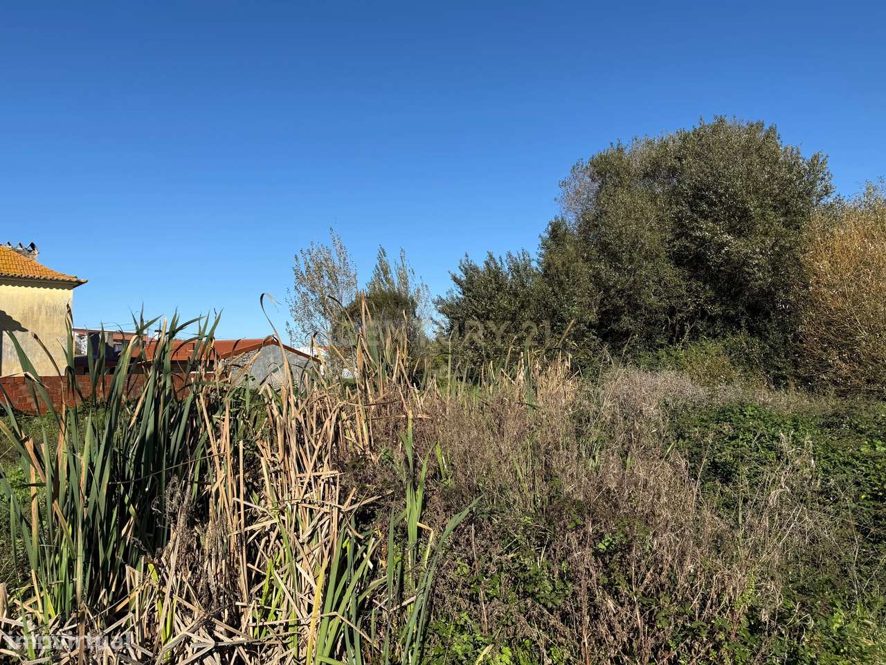 Terreno Rústico em Ílhavo com Viabilidade de Construção - Grande imagem: 5/6