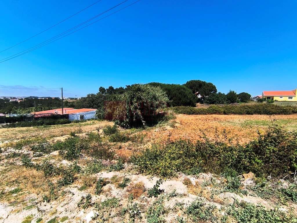 Ericeira - Seixal - Terreno com estudo para 5 moradias isoladas-11