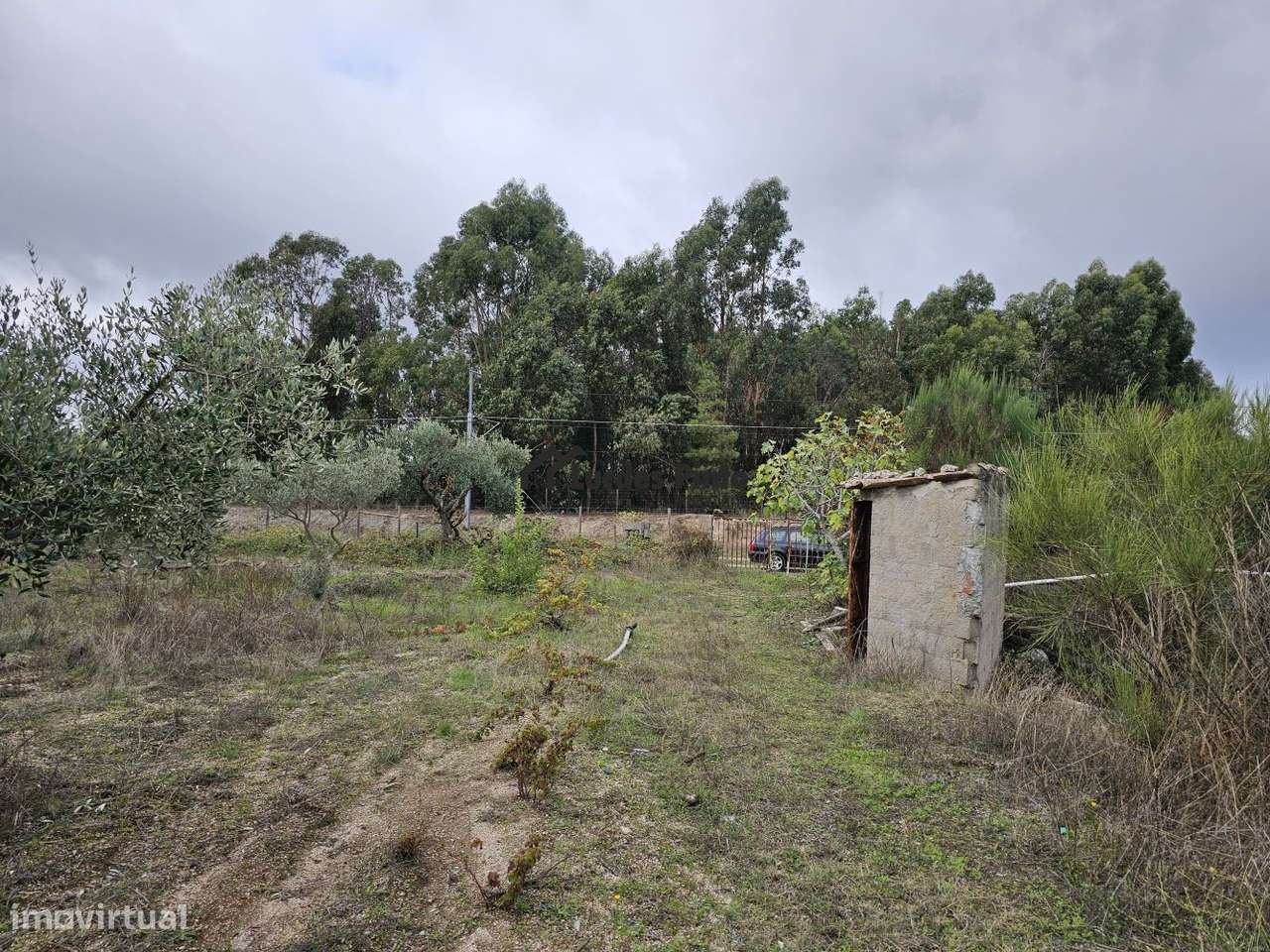 Quinta com construção em pedra-11
